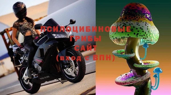 MDMA Premium VHQ Инта